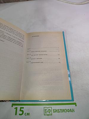 Воин. Смертельный удар