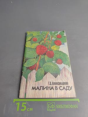 Малина в саду