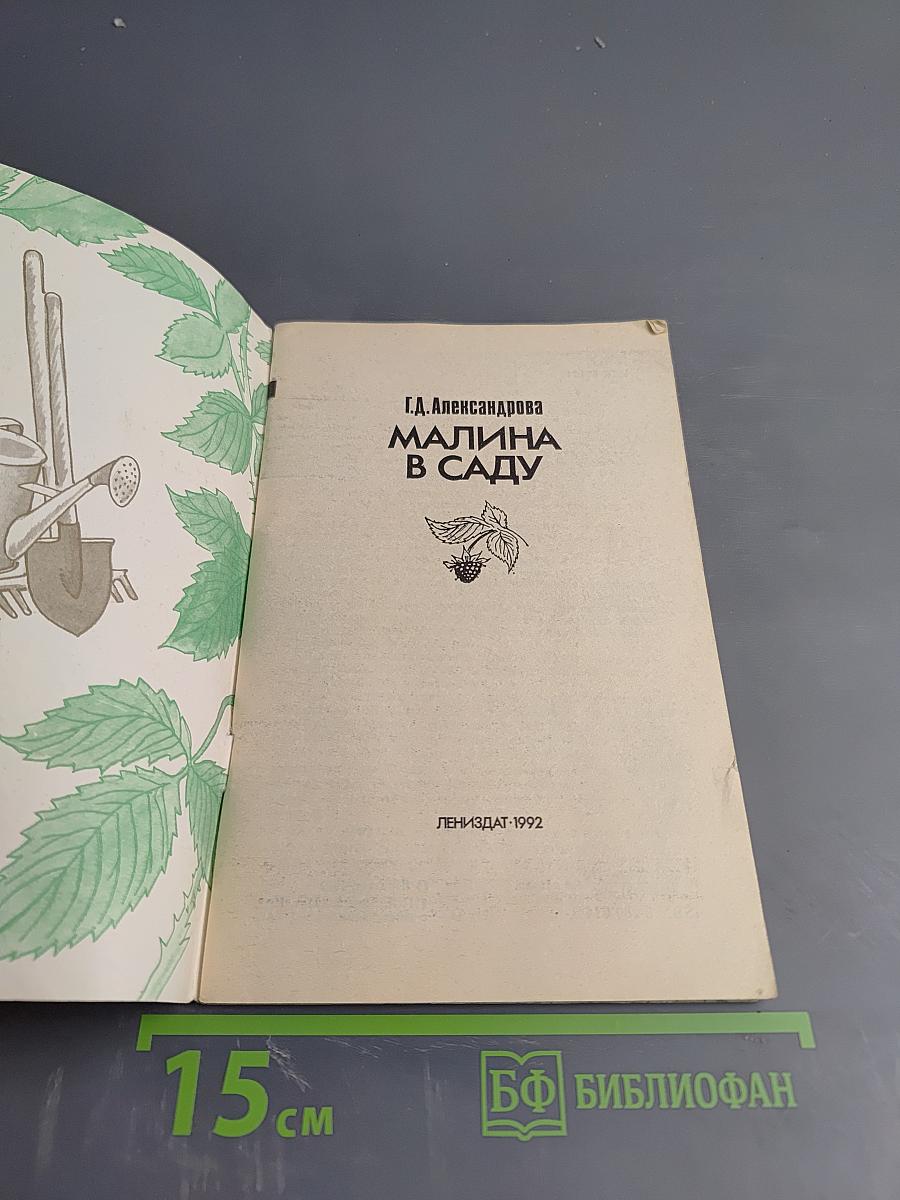 Малина в саду