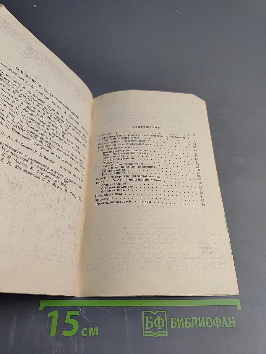 Малина в саду