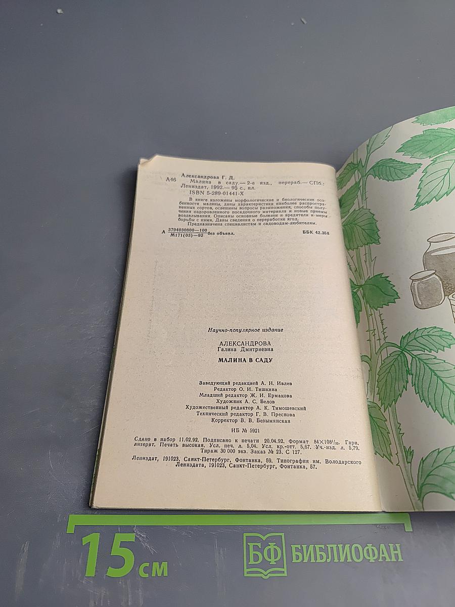 Малина в саду