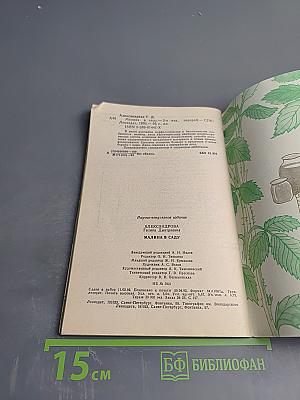 Малина в саду