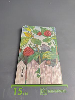 Малина в саду