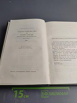 Торговый дом Домби и сын (Главы I-XXX). Том тринадцатый