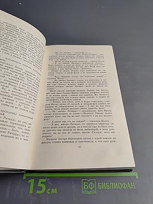 Торговый дом Домби и сын (Главы I-XXX). Том тринадцатый