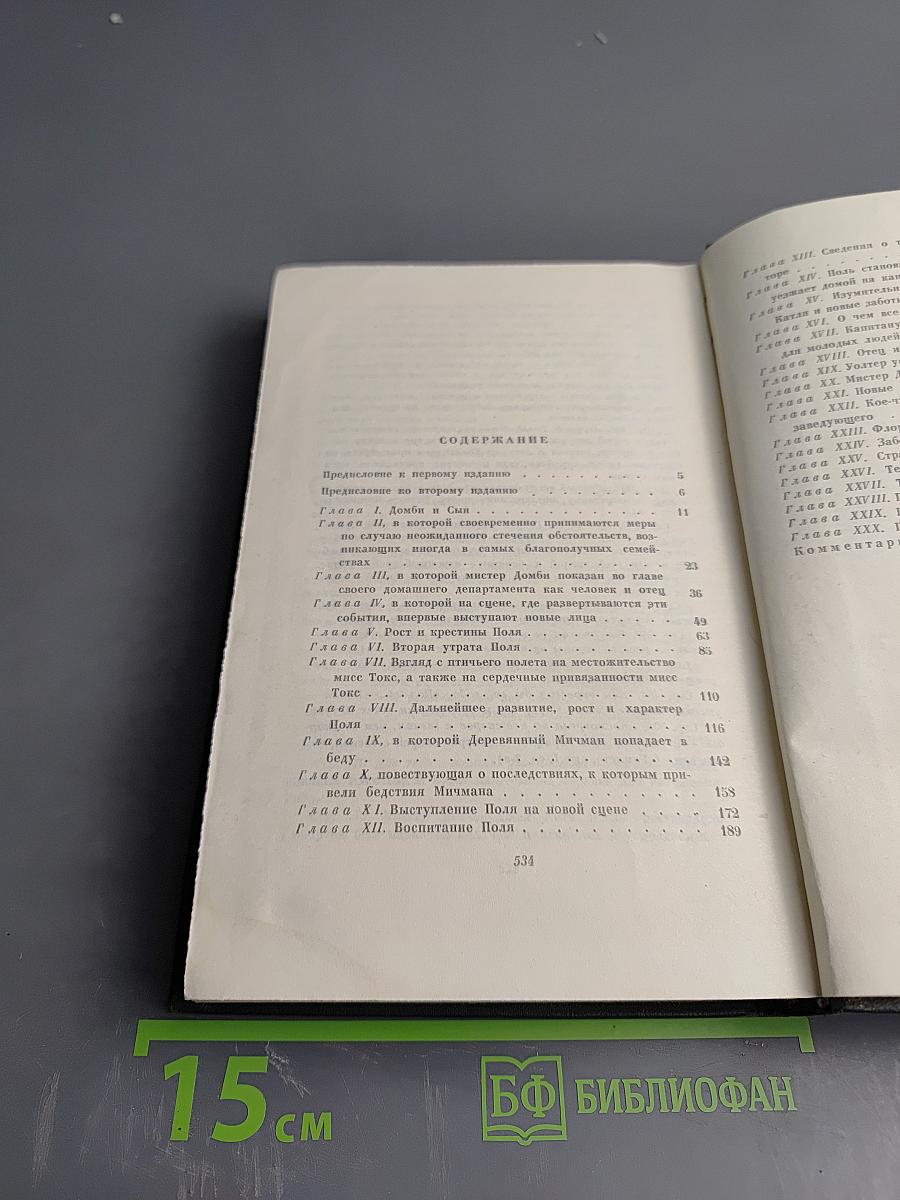 Торговый дом Домби и сын (Главы I-XXX). Том тринадцатый