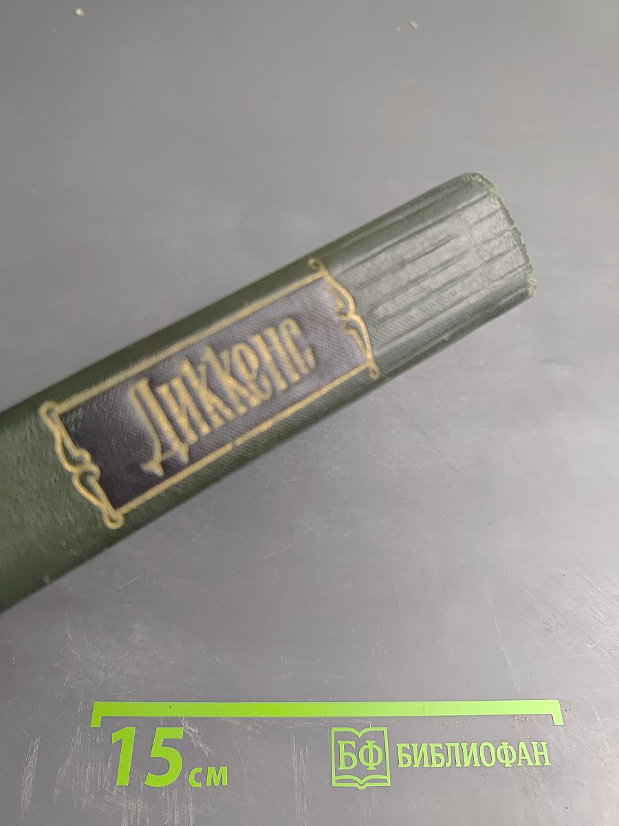 Торговый дом Домби и сын (Главы I-XXX). Том тринадцатый