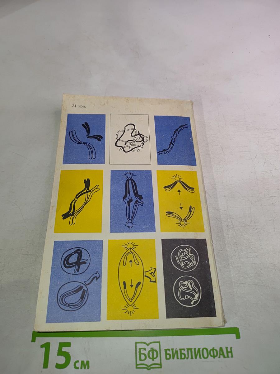 Наследственность и наследственные болезни человека