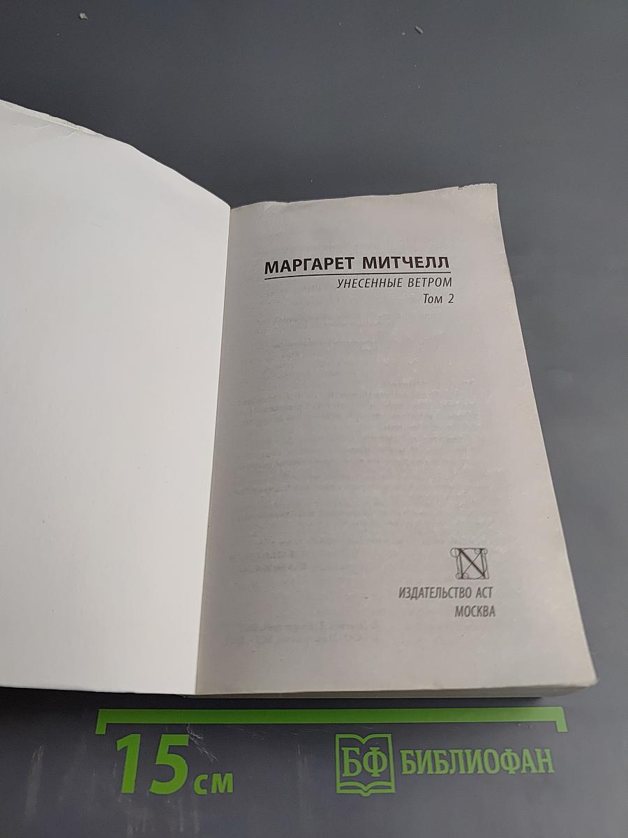 Унесенные ветром. Том 2