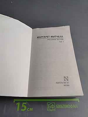 Унесенные ветром. Том 2