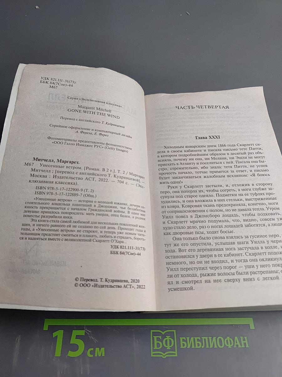 Унесенные ветром. Том 2