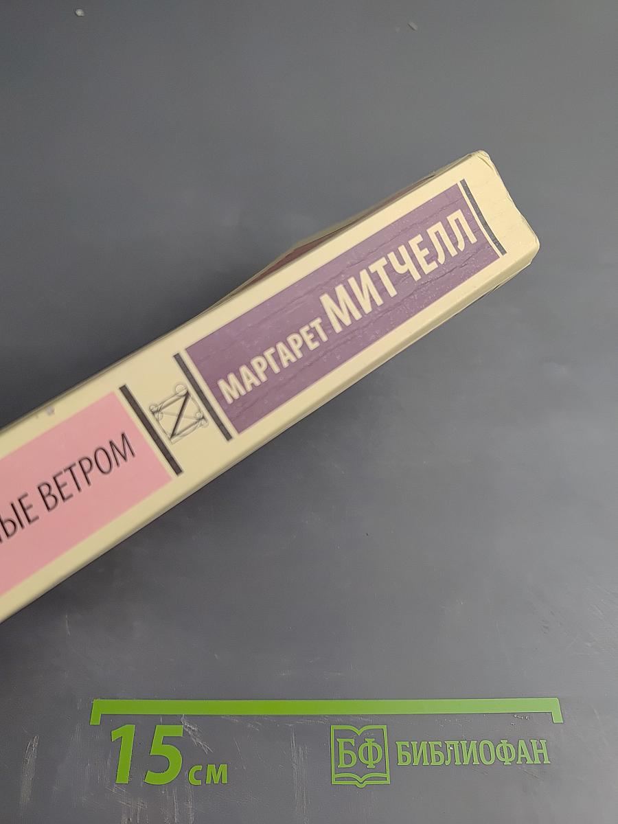 Унесенные ветром. Том 2