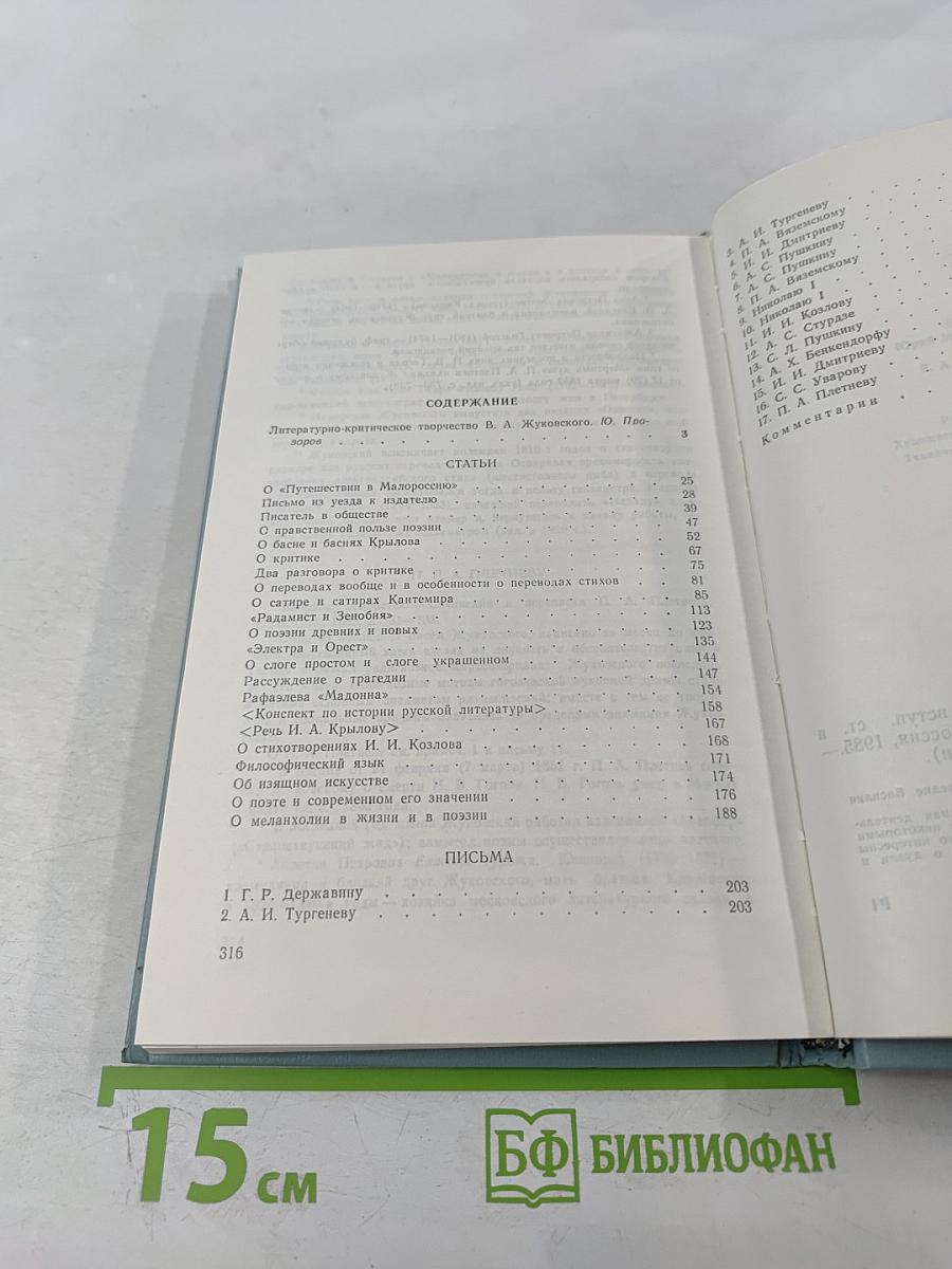 В.А. Жуковский - Критик