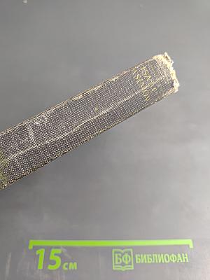 The Neutrino: Ghost Particle of the Atom