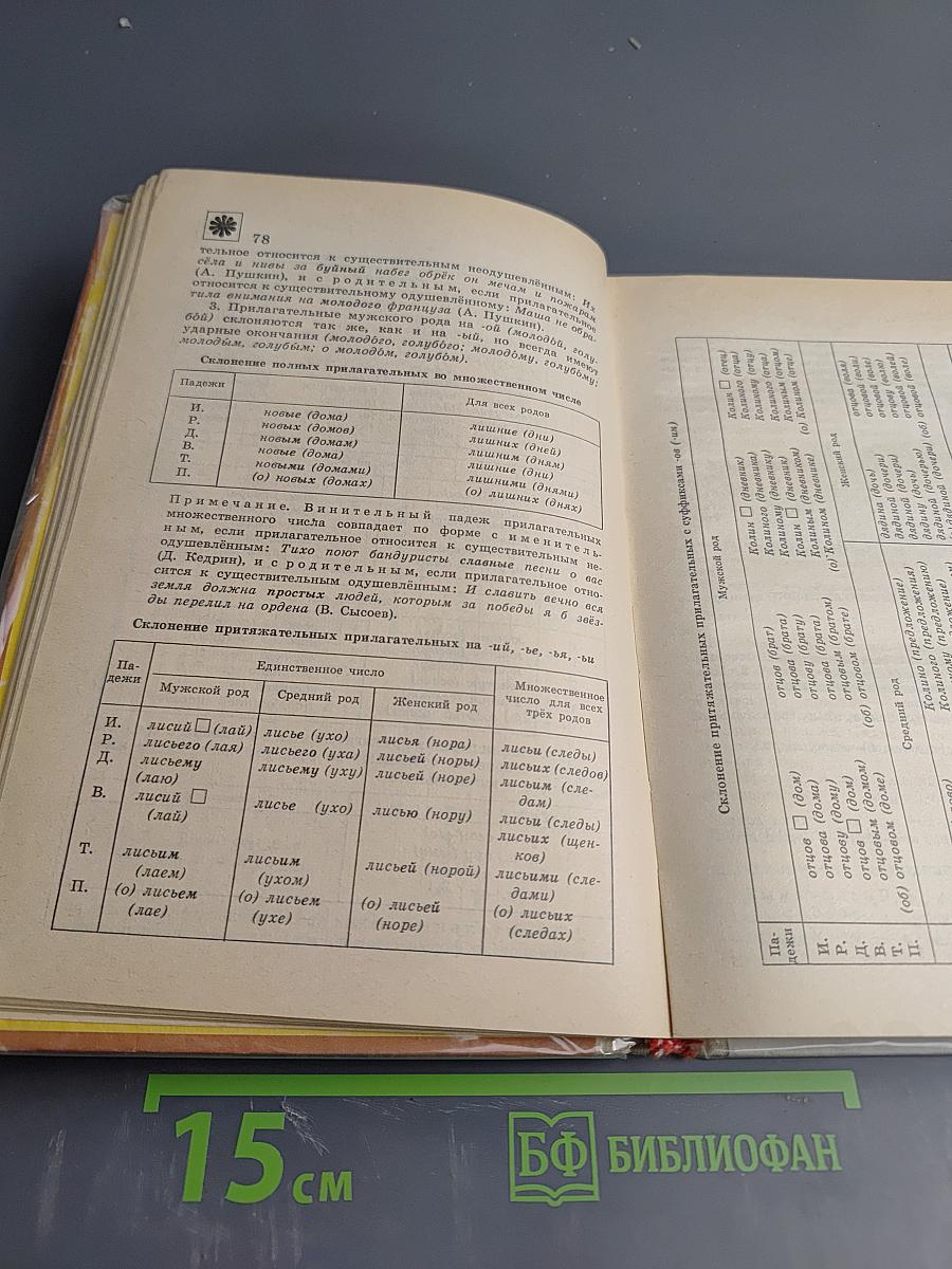 Русский язык: Справочные материалы