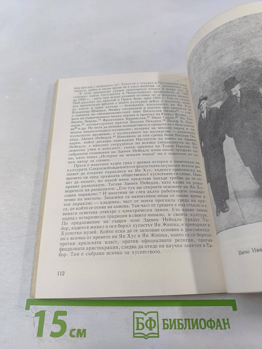 Вичо Иванов. Литературни анкети