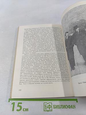 Вичо Иванов. Литературни анкети