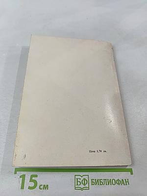 Вичо Иванов. Литературни анкети