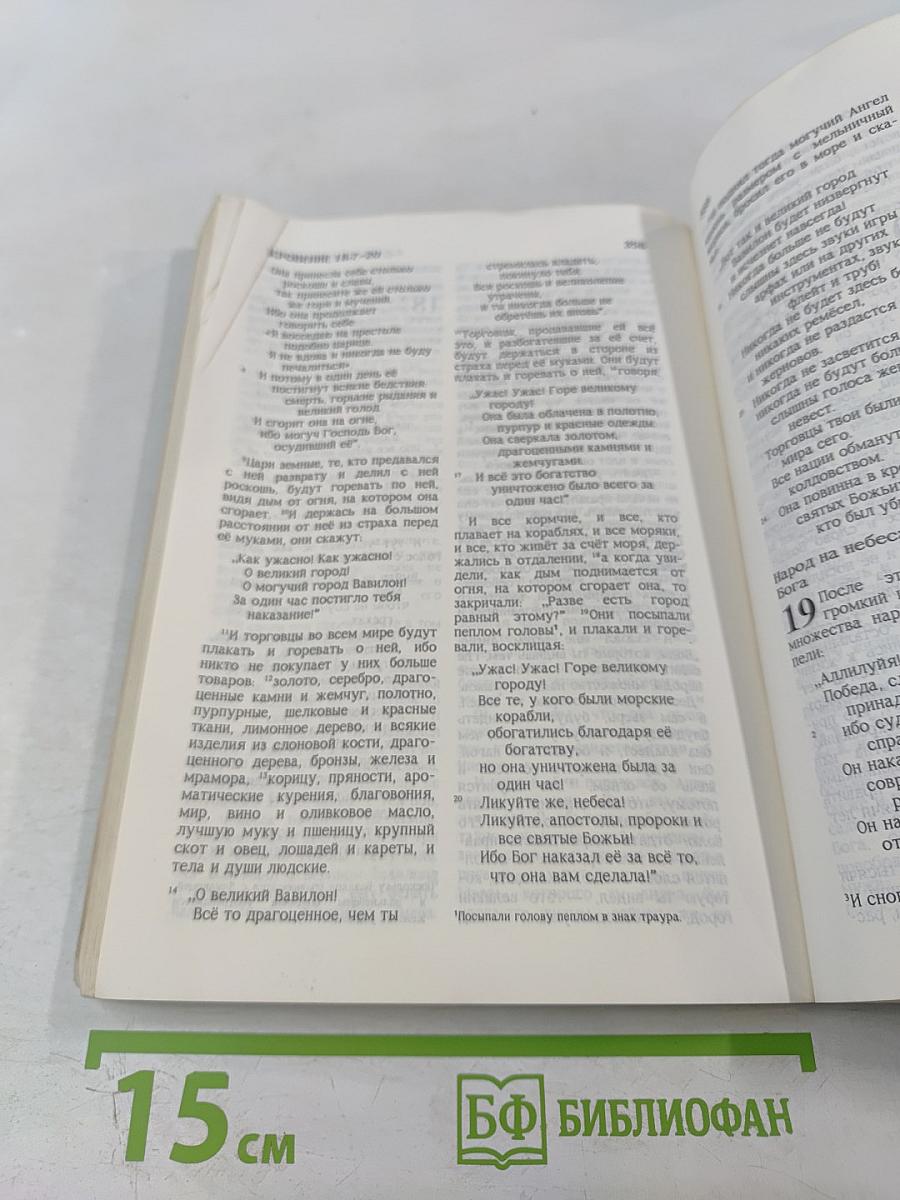 Благая Весть. Новый Завет