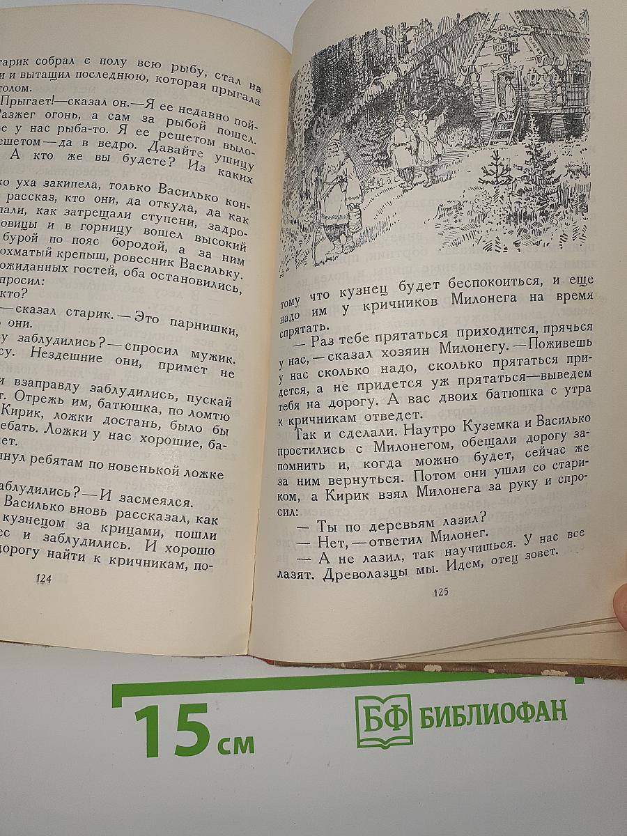 Набег