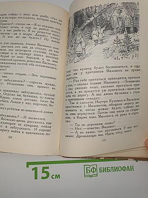 Набег