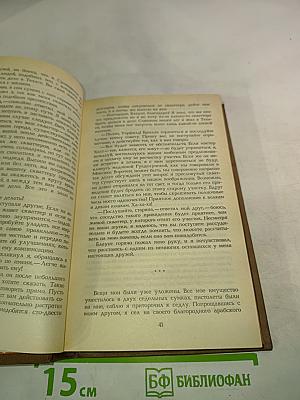 Отважная охотница. Пропавшая Ленора. Голубой Дик