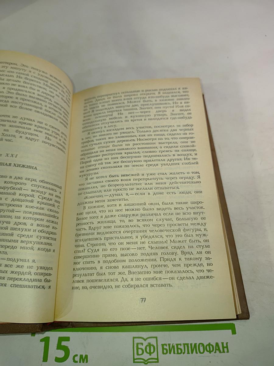 Отважная охотница. Пропавшая Ленора. Голубой Дик