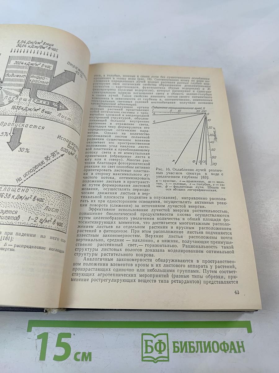 Биосфера Экология Охрана Природы. Справочное пособие