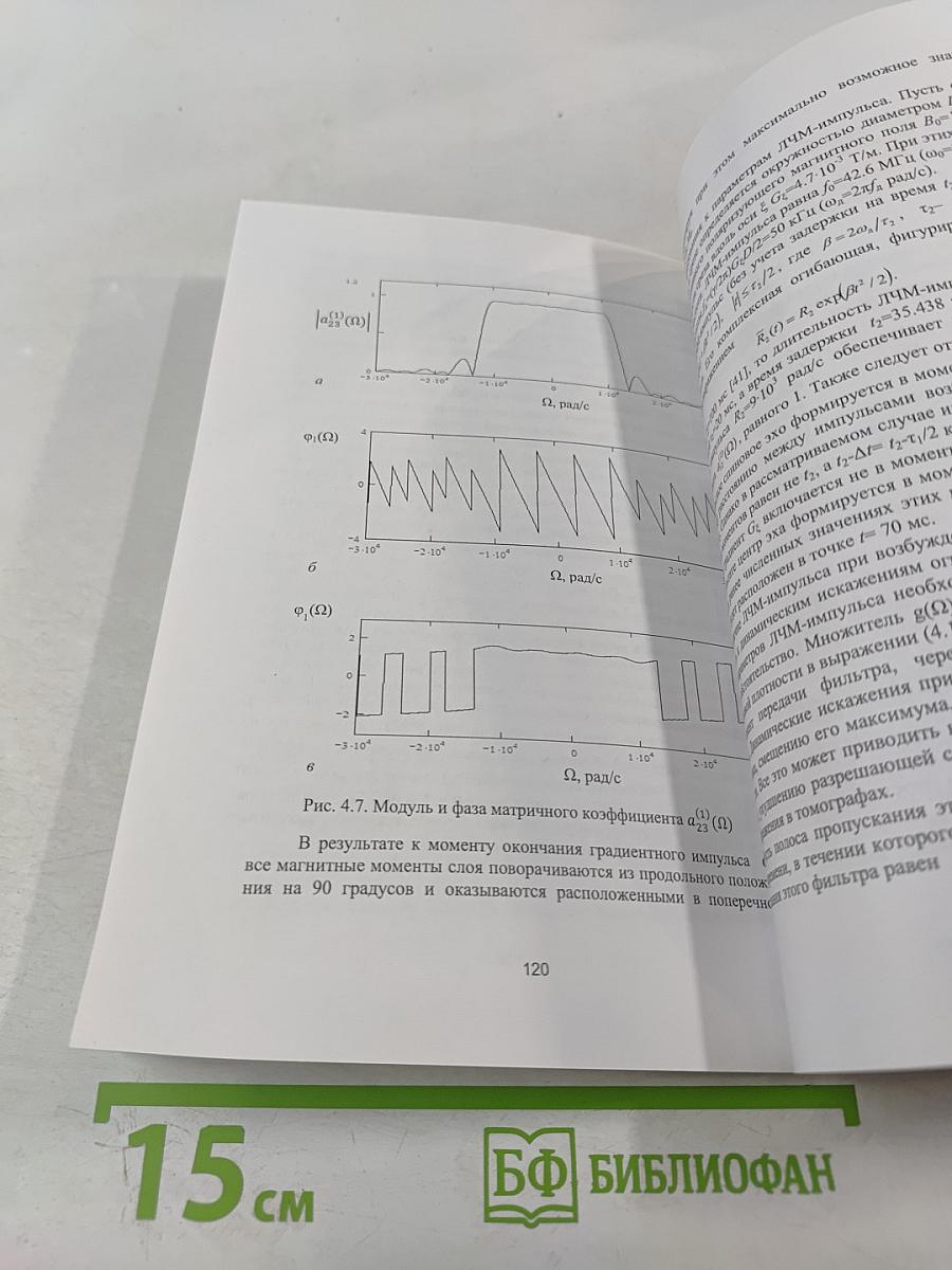Возбуждение спинового и фотонного эха импульсами сложной формы