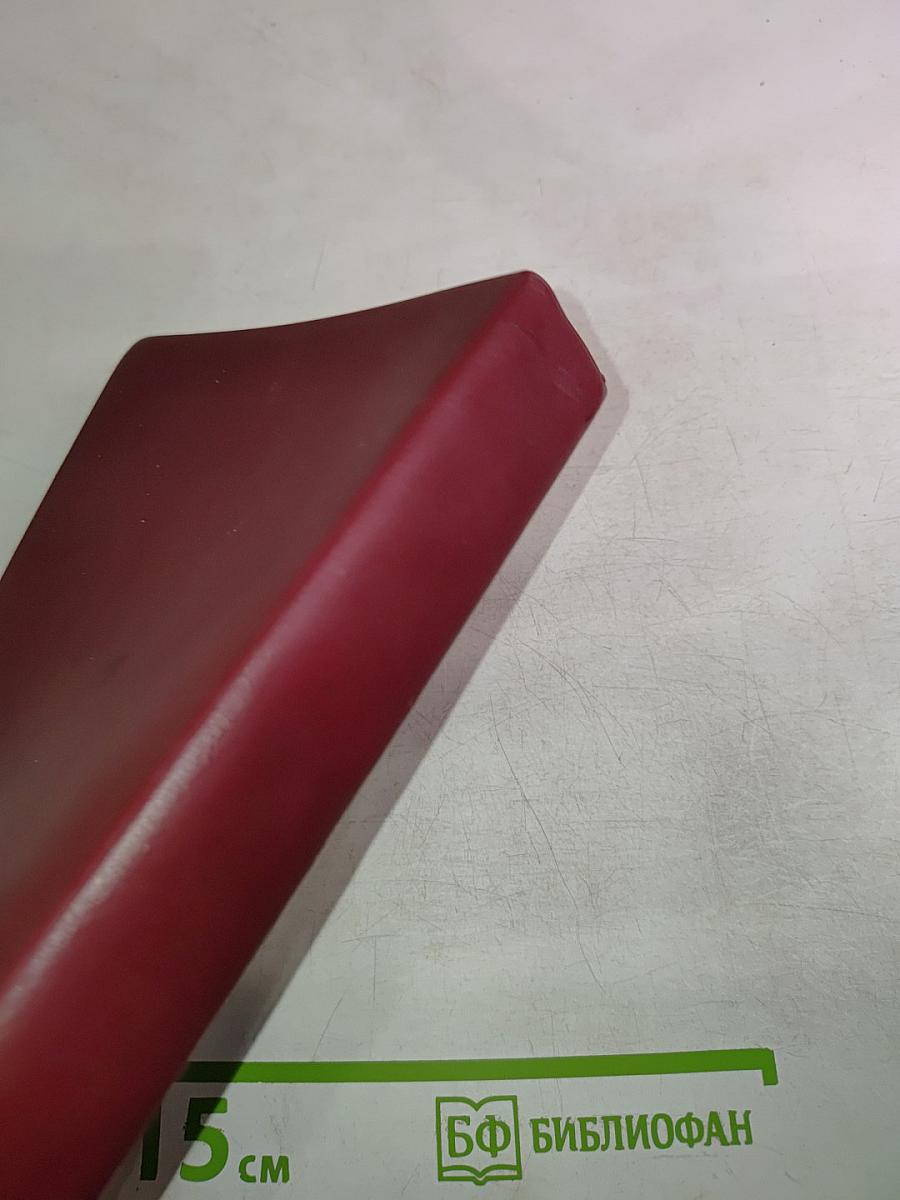 Библия. Книги Священного Писания Ветхого и Нового Завета