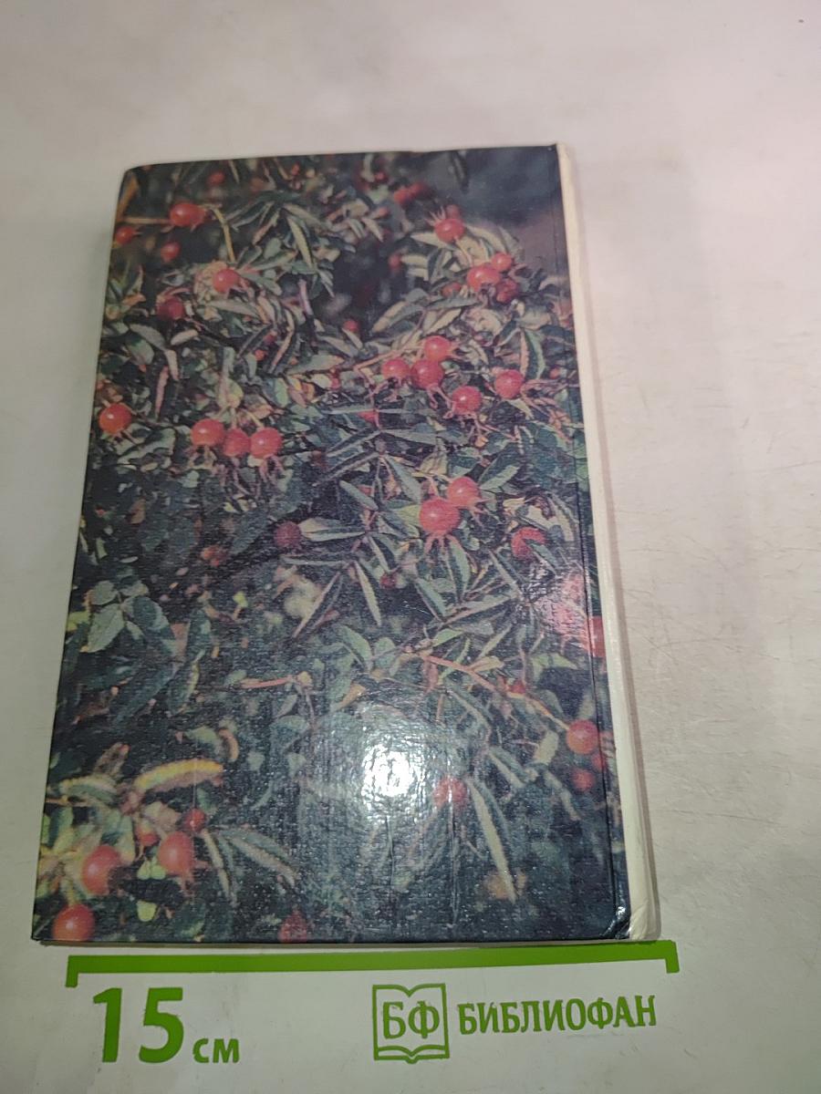 Аптека в саду и огороде