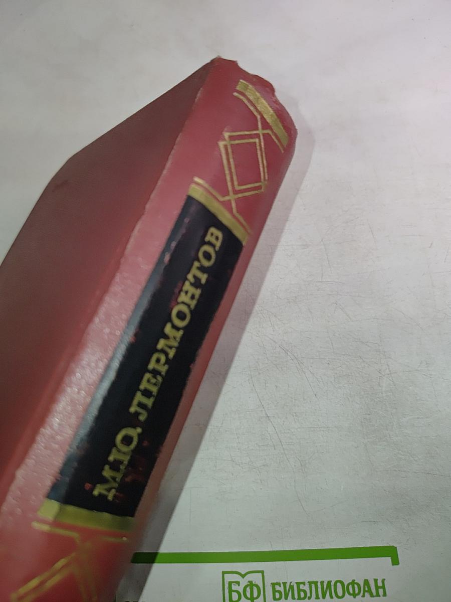 Стихотворения 1828-1841. Том первый