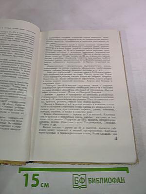 Растения. Применяемые в быту