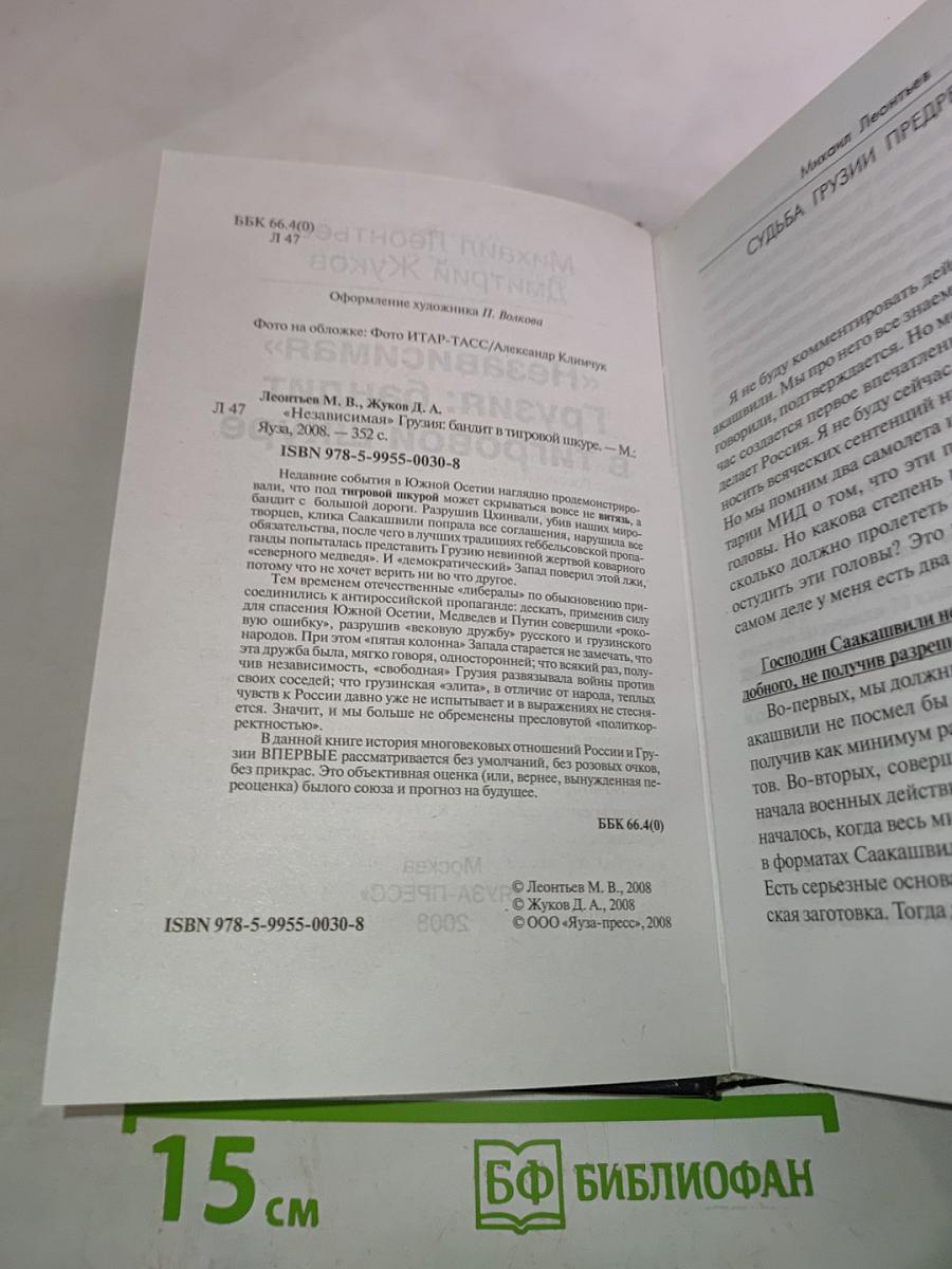 «Независимая» Грузия: бандит в тигровой шкуре