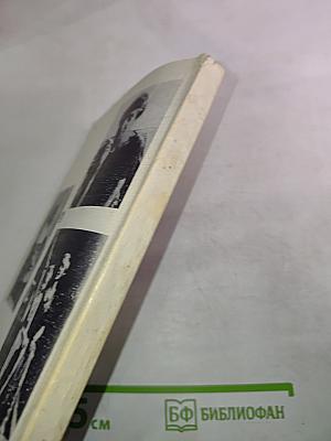 Марина Цветаева. Мой Пушкин