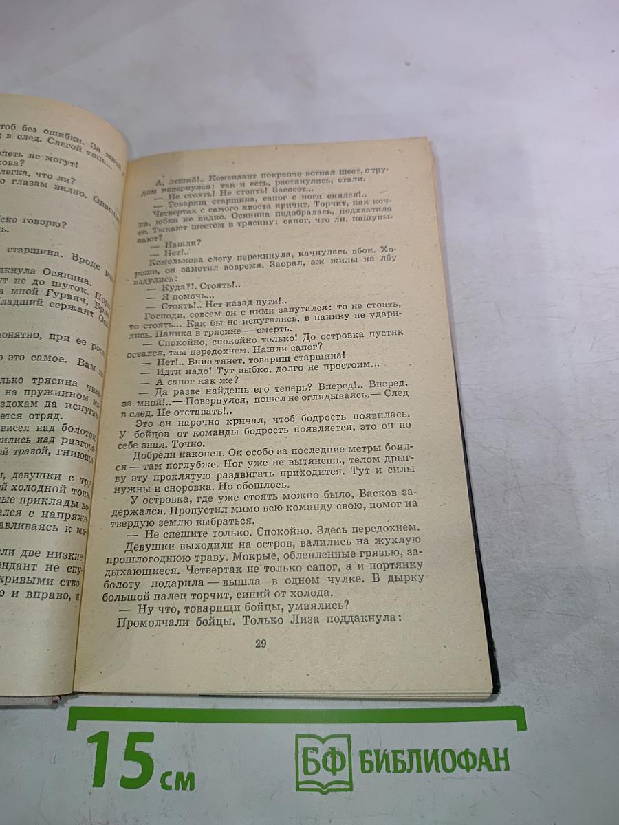 А зори здесь тихие...