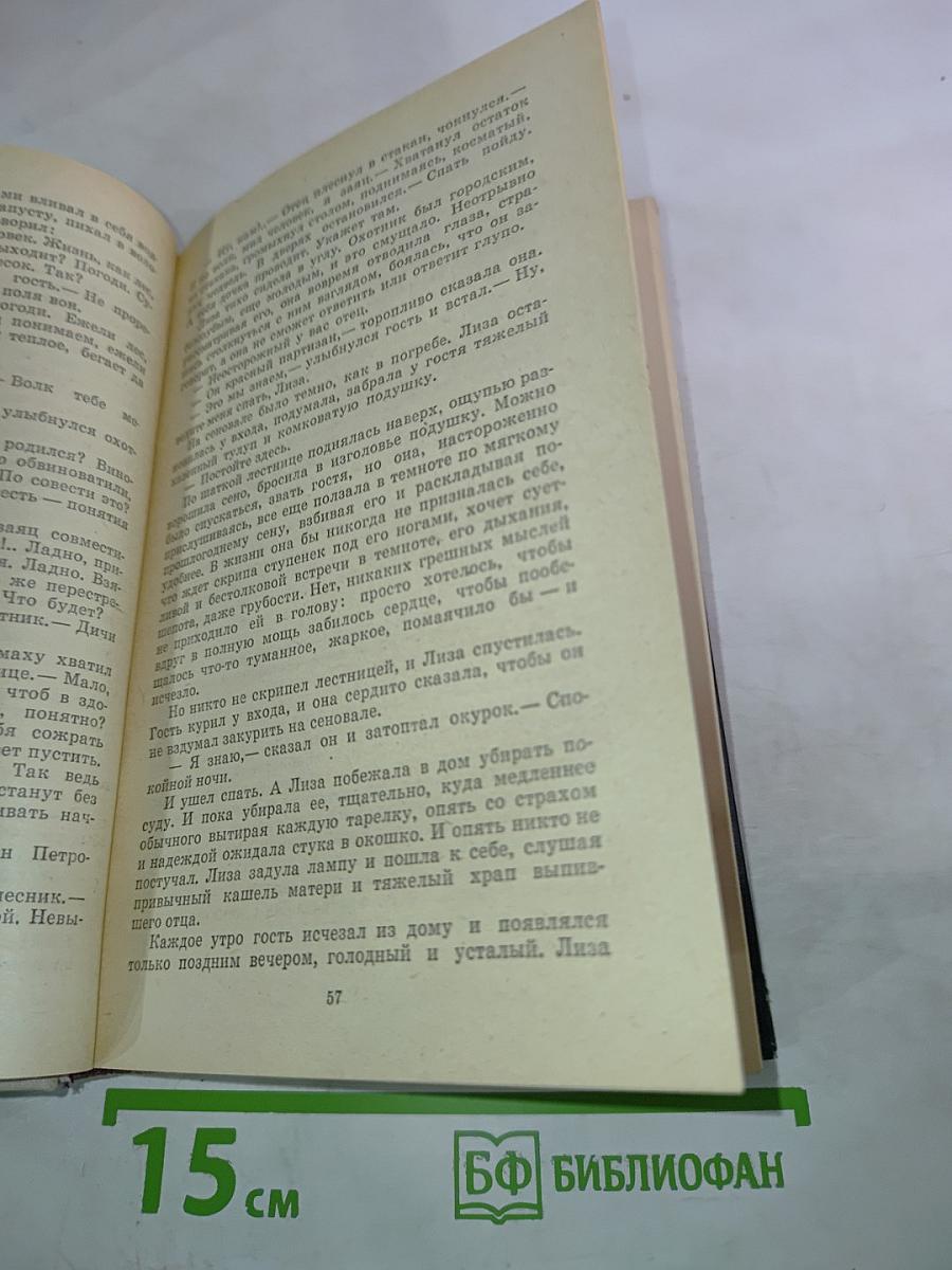 А зори здесь тихие...