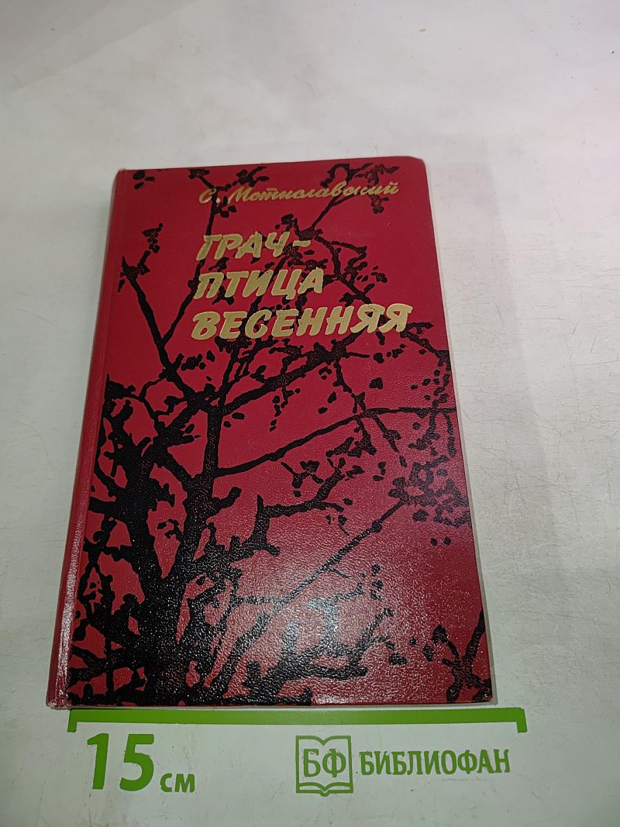 Грач - птица весенняя