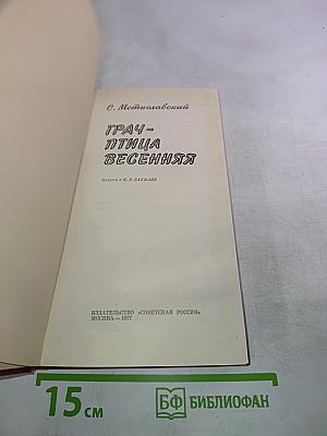 Грач - птица весенняя