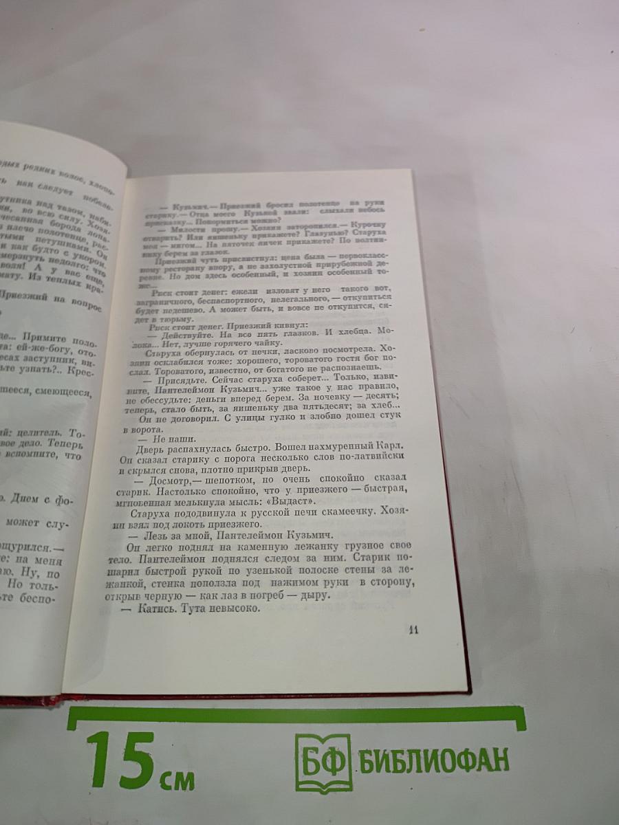 Грач - птица весенняя