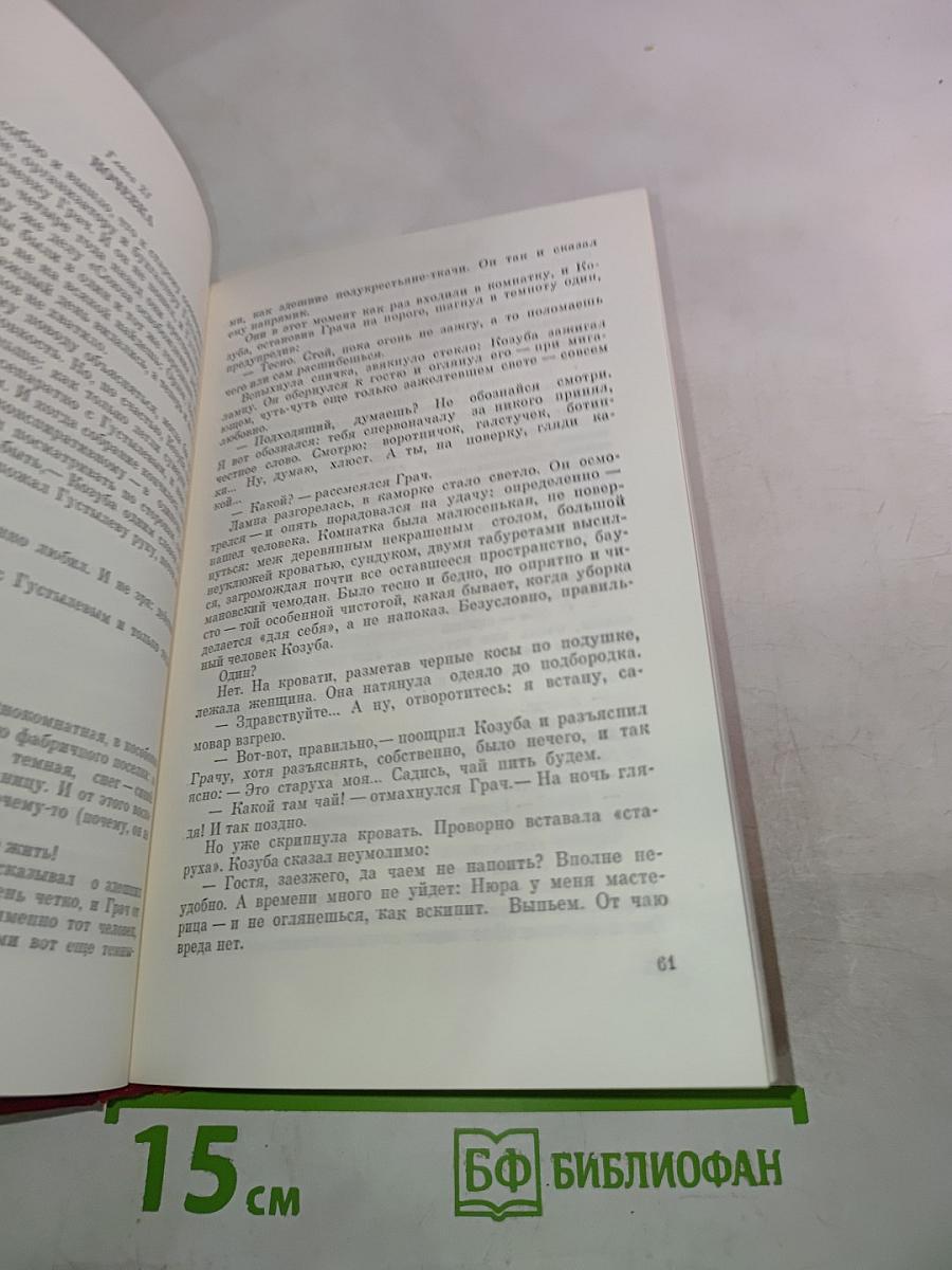 Грач - птица весенняя