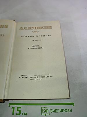 Собрание сочинений. Том шестой. Критика и публицистика