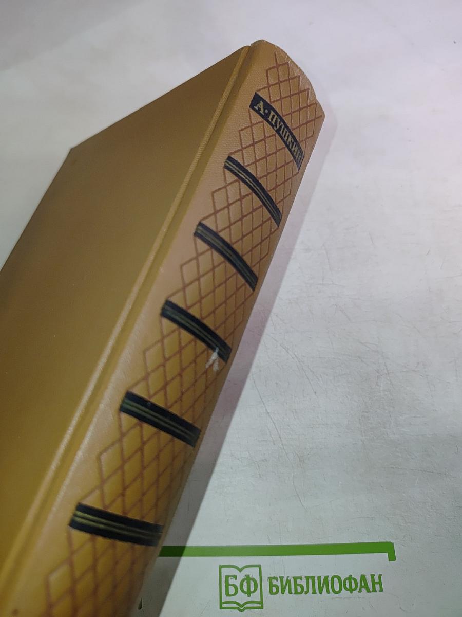 Собрание сочинений. Том шестой. Критика и публицистика