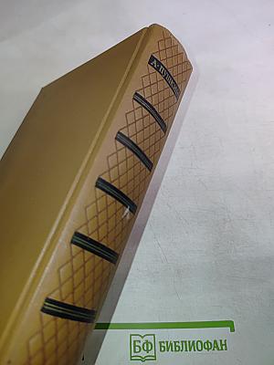 Собрание сочинений. Том шестой. Критика и публицистика