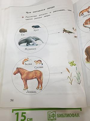 Окружающий мир 1 класс, Часть вторая