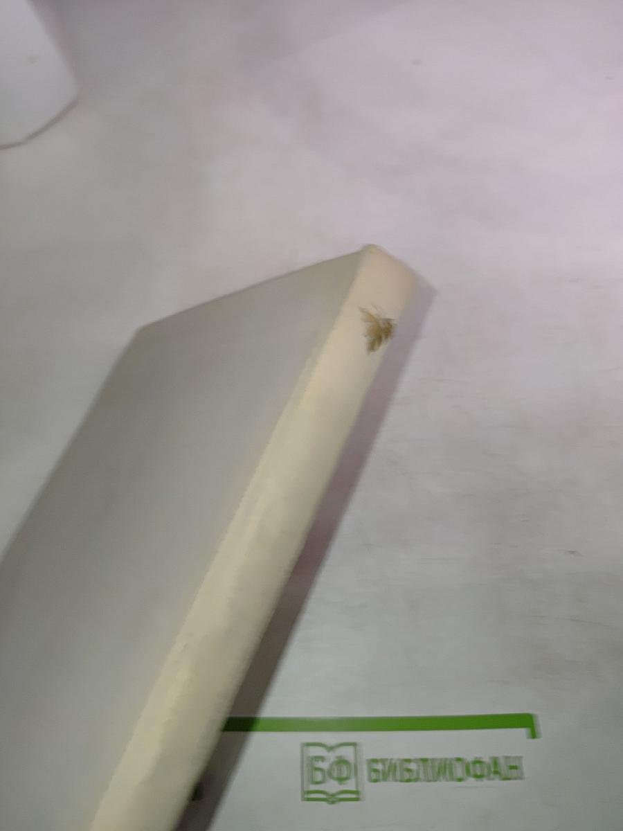 С тобой и без тебя