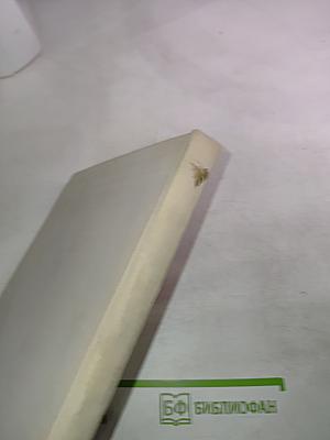 С тобой и без тебя