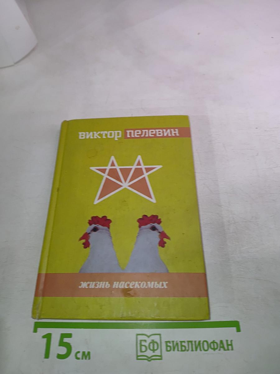 Жизнь насекомых