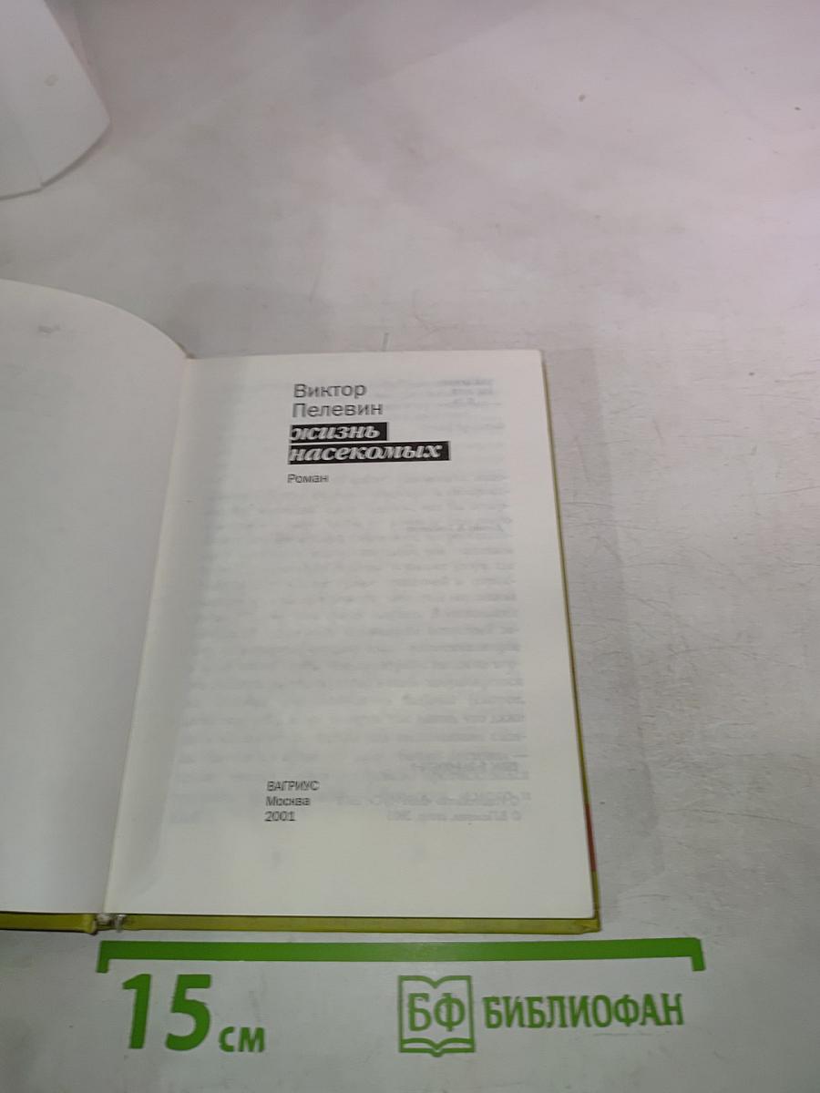 Жизнь насекомых