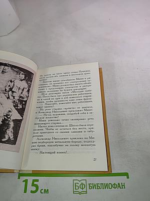 Рассказы о поэте